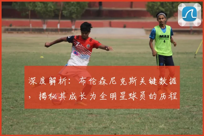 深度解析:布伦森尼克斯关键数据,揭秘其成长为全明星球员的历程与作用