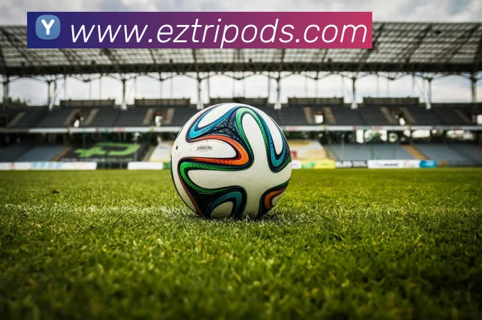 开云APP 高清赛事图